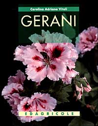 Gerani Gerani