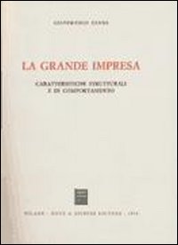 La grande impresa. Caratteristiche strutturali e di comportamento La grande impresa. Caratteristiche strutturali e di comportamento