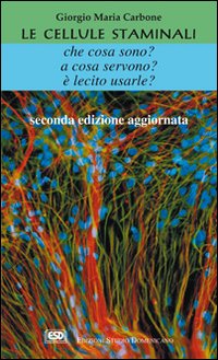 Le cellule staminali. Che cosa sono? A cosa servono? È lecito usarle? Le cellule staminali. Che cosa sono? A cosa servono? È lecito usarle?