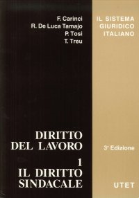 Diritto del lavoro. 1. Il diritto sindacale