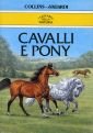 Cavalli e pony