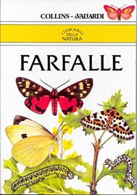 Farfalle e falene