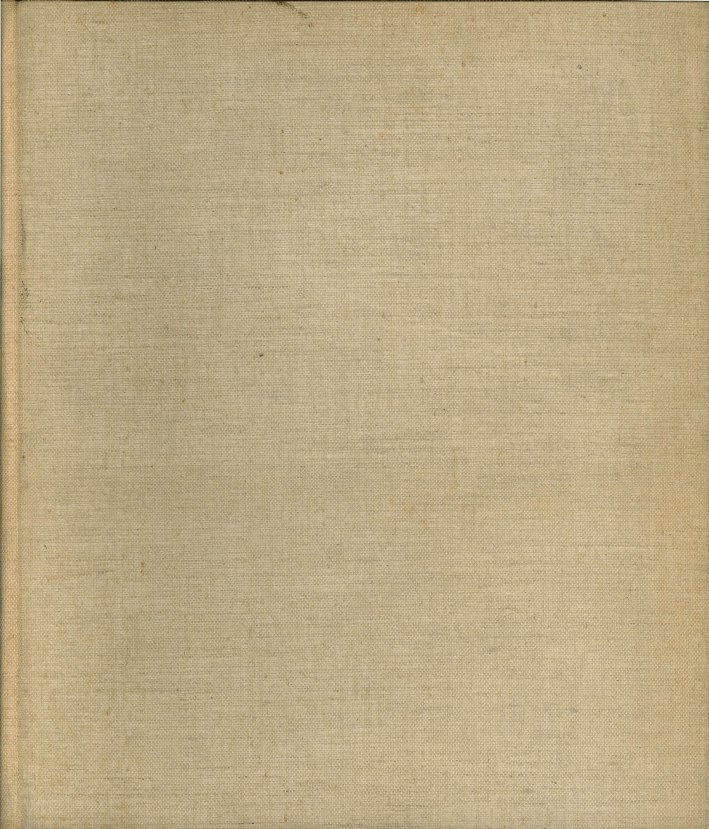 L'Evoluzione dell'Arte