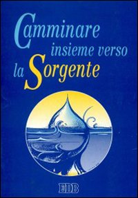Camminare insieme verso la sorgente. Il catechista segue la Camminare insieme verso la sorgente. Il catechista segue la