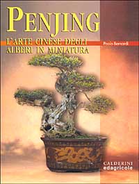 Penjing. L'arte cinese degli alberi in miniatura Penjing. L'arte cinese degli alberi in miniatura