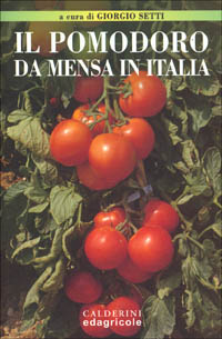 Il pomodoro da mensa in Italia Il pomodoro da mensa in Italia