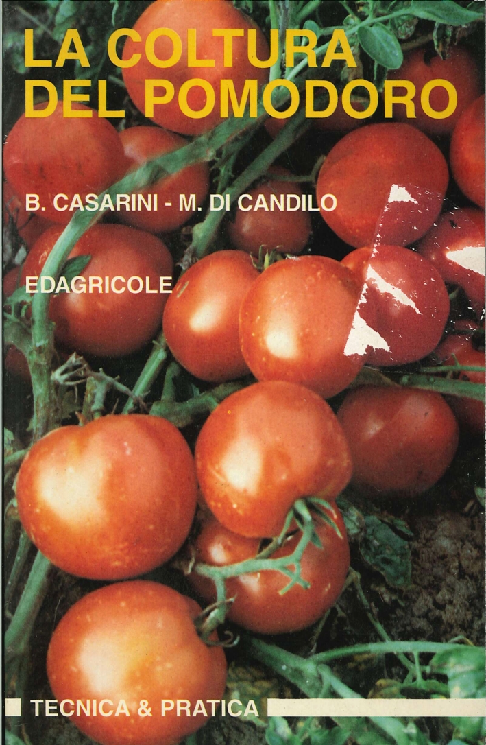 La Coltura del Pomodoro La Coltura del Pomodoro