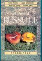 Funghi russule Funghi russule