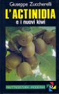 L'actinidia e i nuovi kiwi L'actinidia e i nuovi kiwi