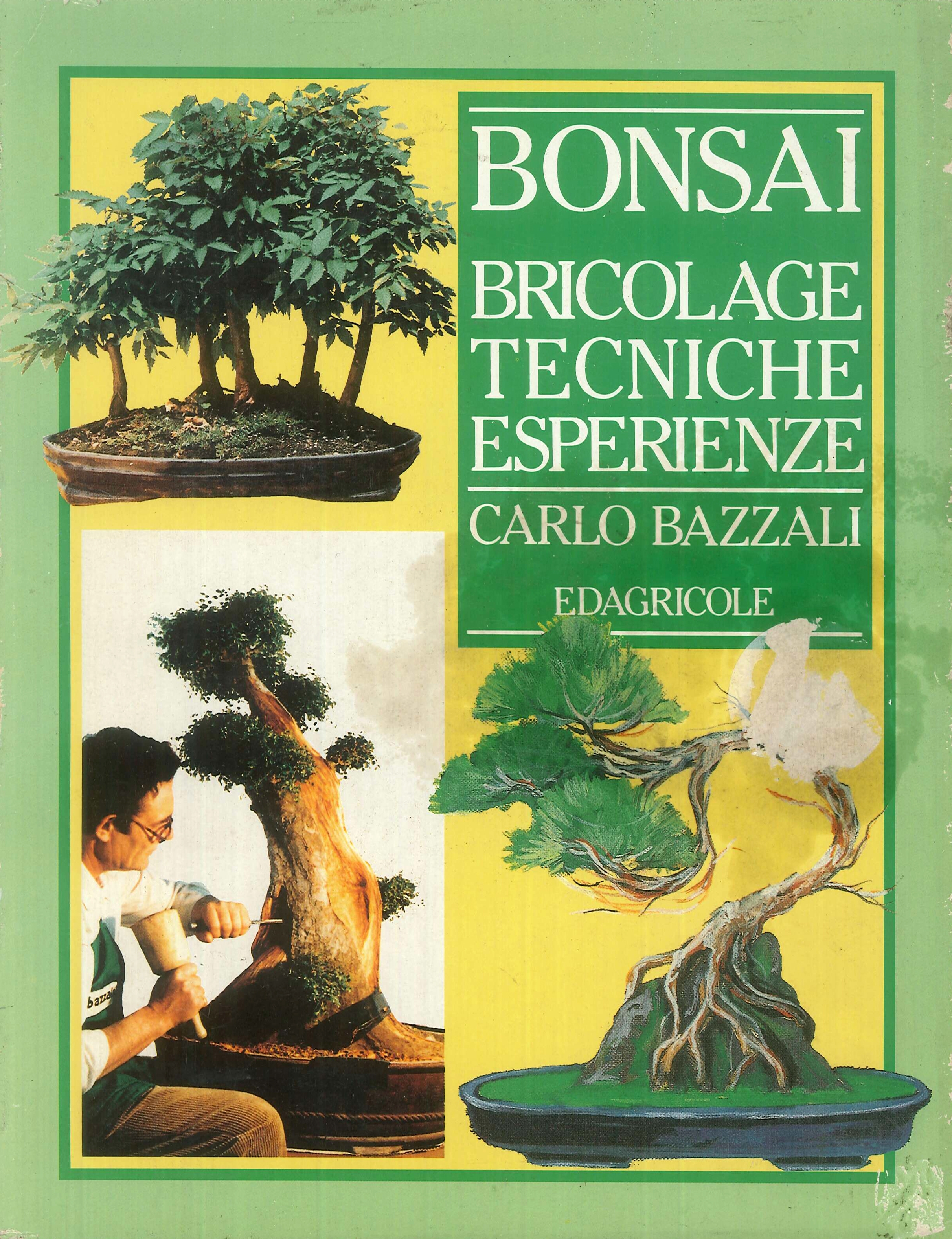 Bonsai. Bricolage, tecniche, esperienze Bonsai. Bricolage, tecniche, esperienze