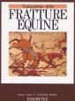 Trattamento delle fratture equine