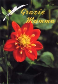 Grazie mamma Grazie mamma