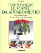 Come moltiplicare le piante da appartamento Come moltiplicare le piante da appartamento