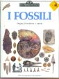 Fossili Fossili