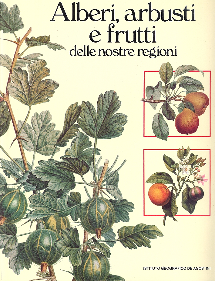 Alberi, Arbusti e Frutti delle Nostre Regioni Alberi, Arbusti e Frutti delle Nostre Regioni