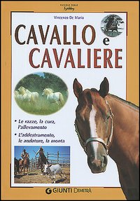 Cavallo e cavaliere Cavallo e cavaliere