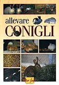 Allevare conigli Allevare conigli