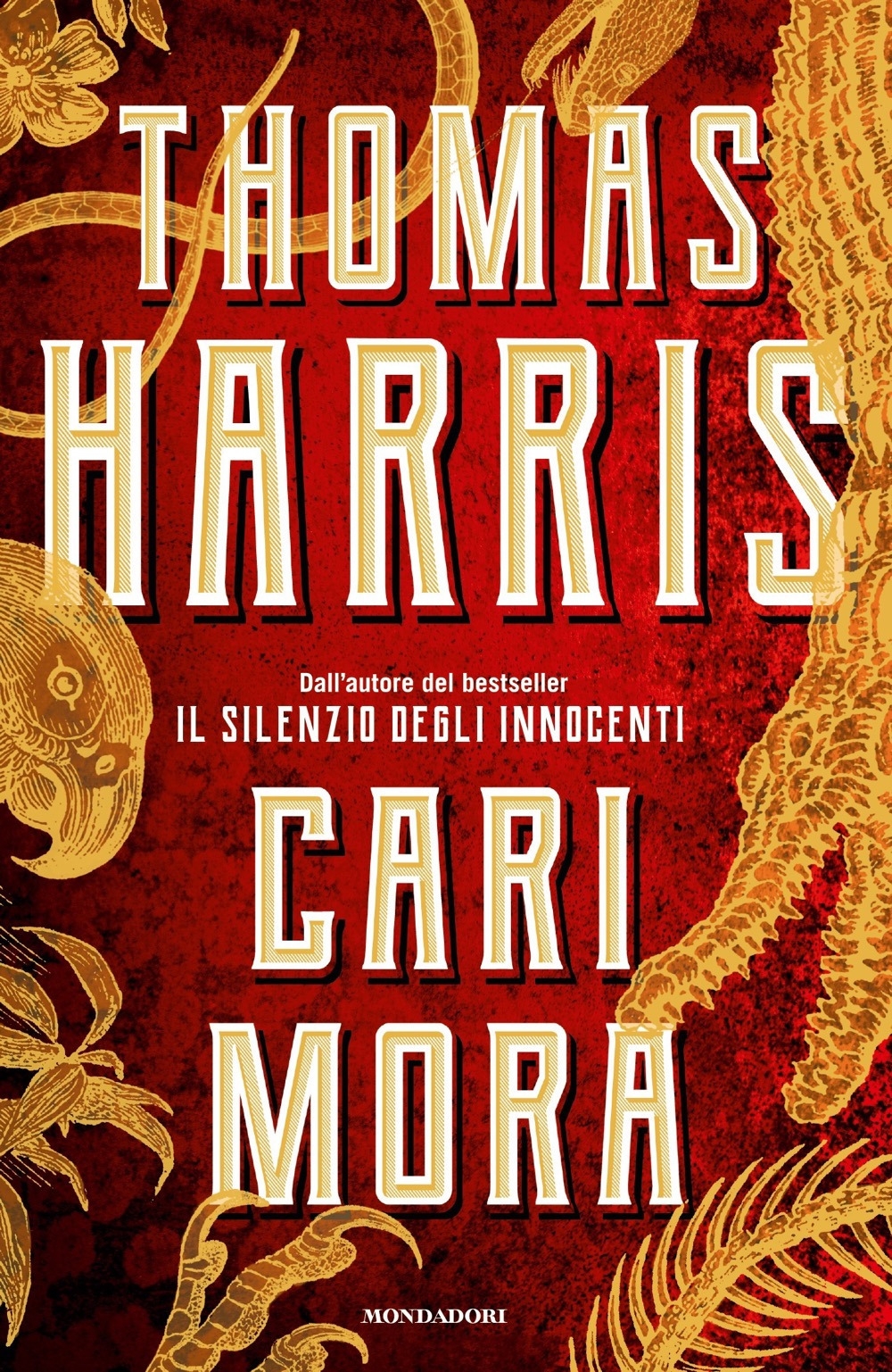 Cari Mora Cari Mora