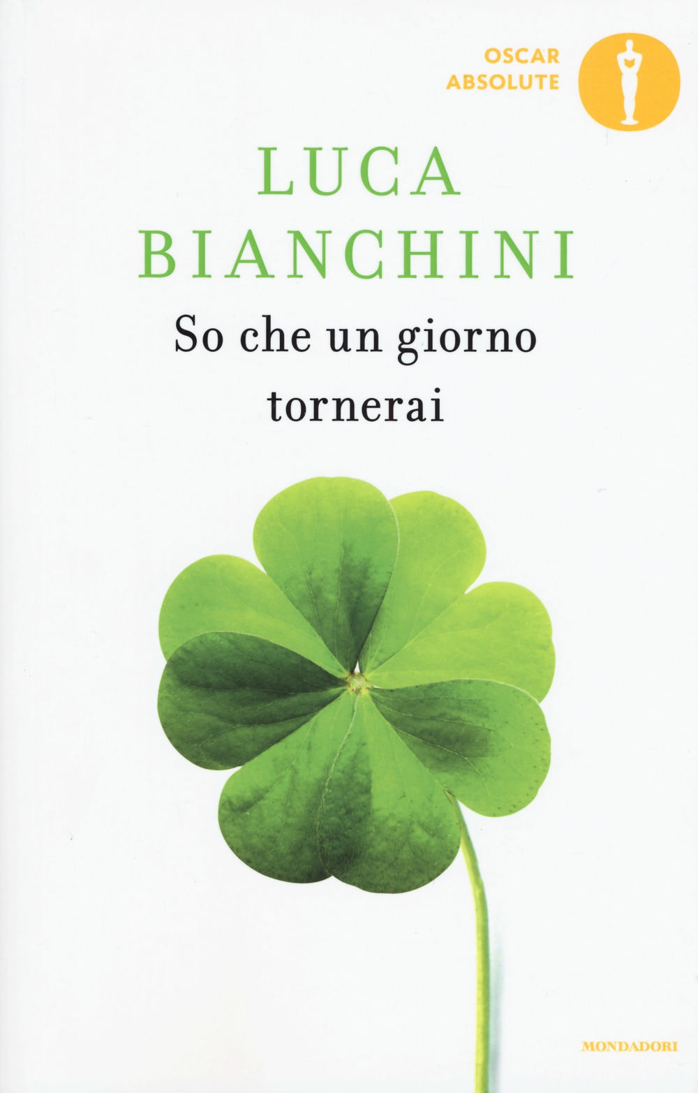 So che un giorno tornerai So che un giorno tornerai