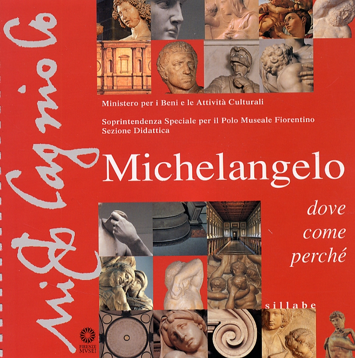 Michelangelo. Dove come perché? Michelangelo. Dove come perché?