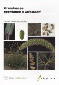 Graminacee spontanee e infestanti Graminacee spontanee e infestanti