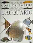 L'acquario L'acquario