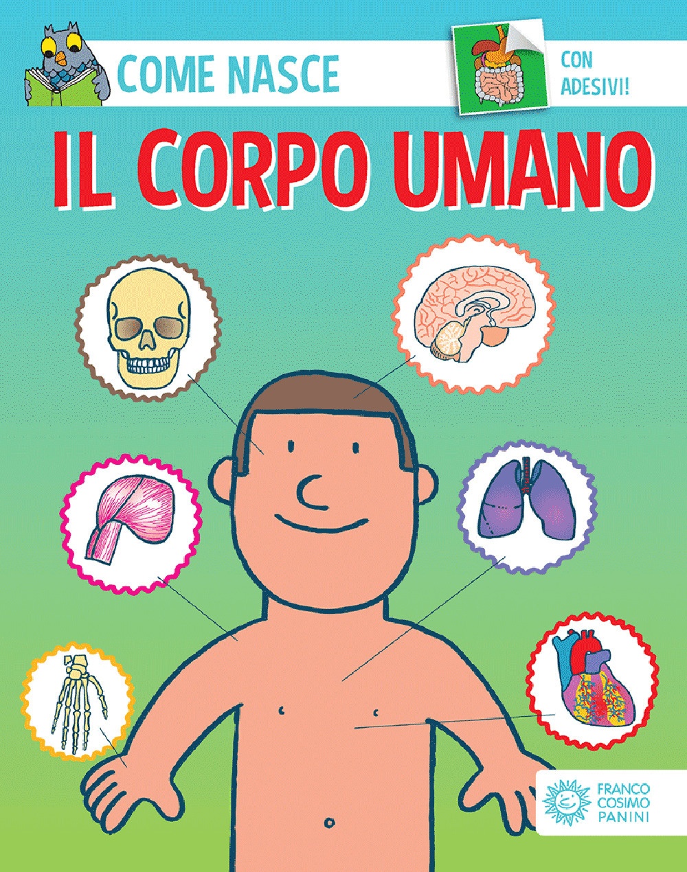 Il corpo umano Il corpo umano