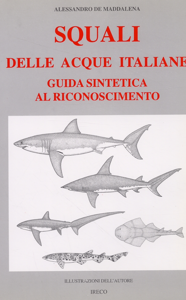 Squali delle Acque Italiane. Guida Sintetica al Riconoscimento Squali delle Acque Italiane. Guida Sintetica al Riconoscimento