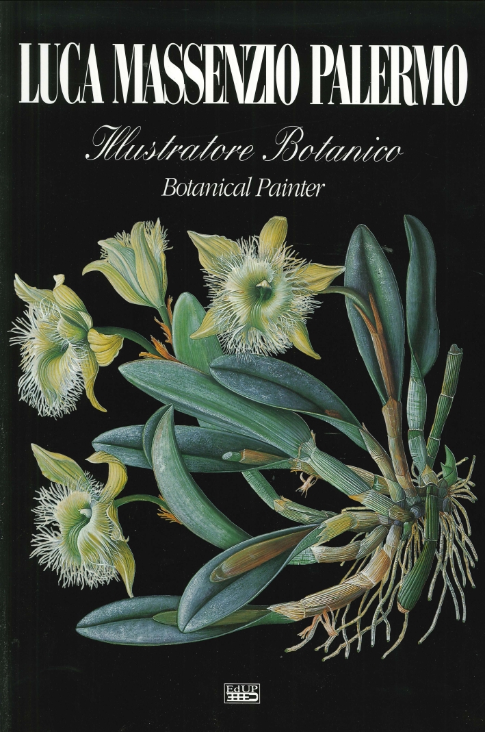 Luca Massenzio Palermo. Illustratore Botanico Botanical Painter Luca Massenzio Palermo. Illustratore Botanico Botanical Painter