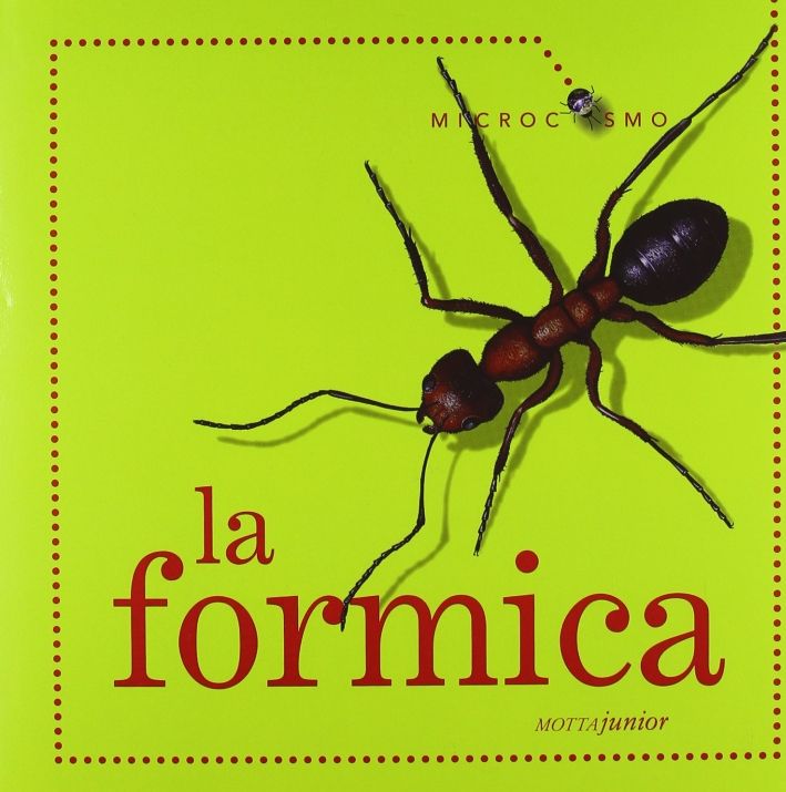 La formica La formica