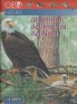 Gli animali dell'America del nord Gli animali dell'America del nord