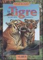 Tigre Tigre