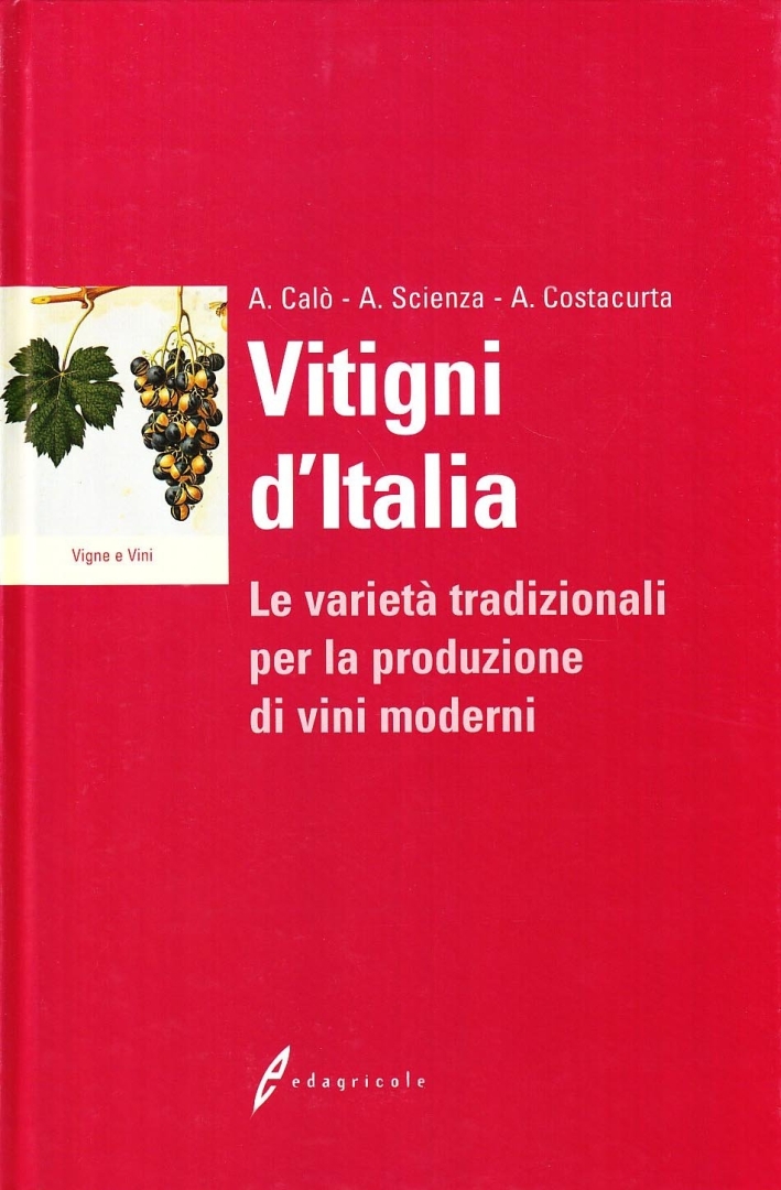 Vitigni d'Italia. Le varietà tradizionali per la produzione dei vini moderni