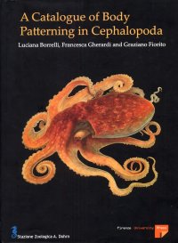 A Catalogue of Body Patterning in Cephalopoda