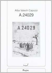 A-24029