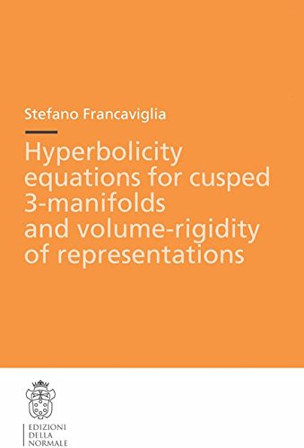 Hyperbolicity equations for cusped 3. Manifolds and volume. Rigidity of representations