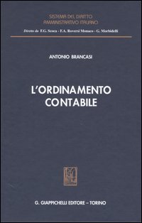 L'ordinamento contabile L'ordinamento contabile