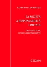 La società a responsabilità limitata. Organizzazione, governo e finanziamento La società a responsabilità limitata. Organizzazione, governo e finanziamento