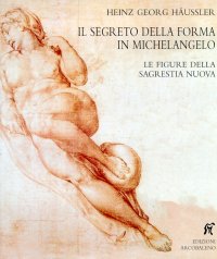 Il segreto della forma in Michelangelo. Le figure della Sagretia Nuova. Con disegni dell'autore