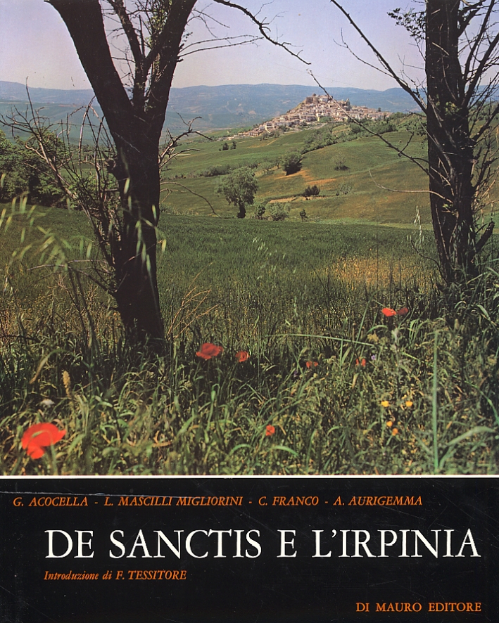 De Sanctis e l'Irpinia De Sanctis e l'Irpinia