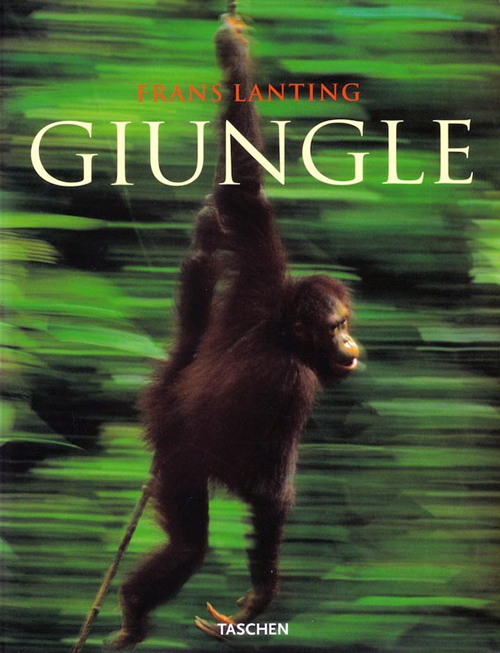 Giungle. Ediz. italiana Giungle. Ediz. italiana