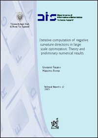 Iterative computation of negative curvative directions in large scale optimization: theory and preliminary numerical results Iterative computation of negative curvative directions in large scale optimization: theory and preliminary numerical results