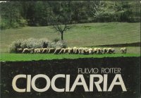 Ciociaria. Ediz. Italiana e Inglese