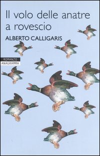 Il volo delle anatre a rovescio Il volo delle anatre a rovescio
