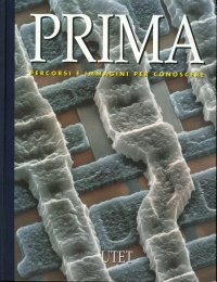 Prima. Percorsi e Immagini per Conoscere. Vol. 10. Sezione Alfabetica. L-Z