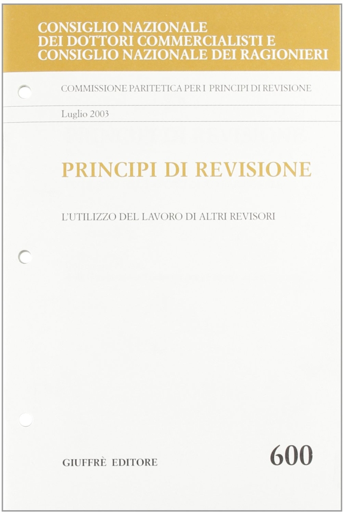 Principi di revisione. Documento 600. L'utilizzo del lavoro di altri revisori. Principi di revisione. Documento 600. L'utilizzo del lavoro di altri revisori.