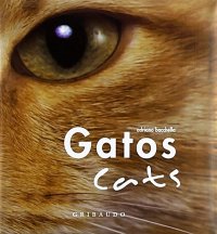 Gatos-Cats