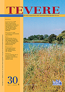 Tevere. Vol. 30 Tevere. Vol. 30