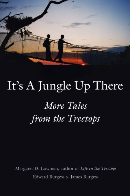 It's a Jungle Up There It's a Jungle Up There
