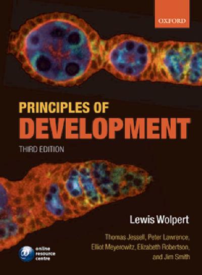 Principles of Development Principles of Development